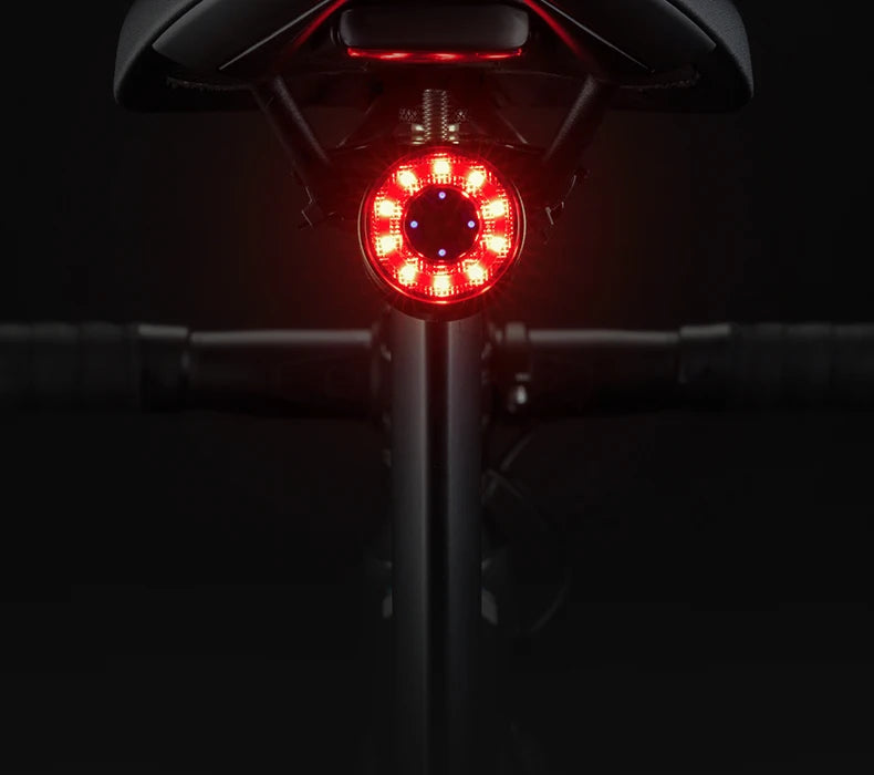 ROCKBROS Smart Brake Sensing Rear Bike Light — Aluminium Waterproof Type-C