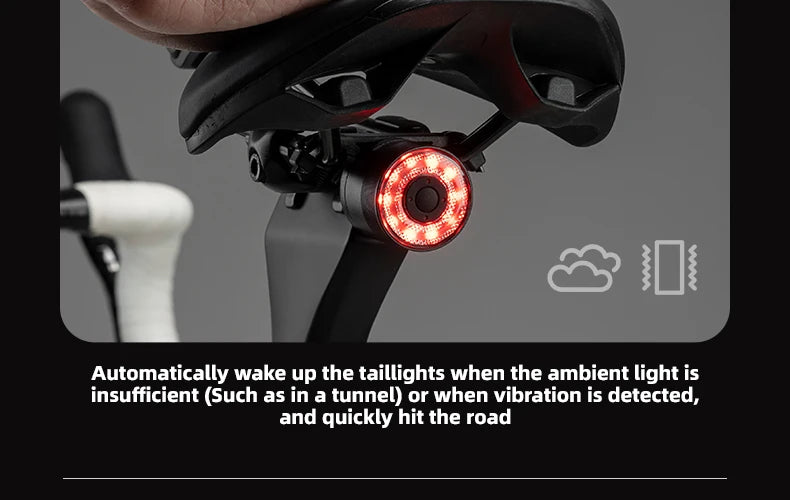 ROCKBROS Smart Brake Sensing Rear Bike Light — Aluminium Waterproof Type-C