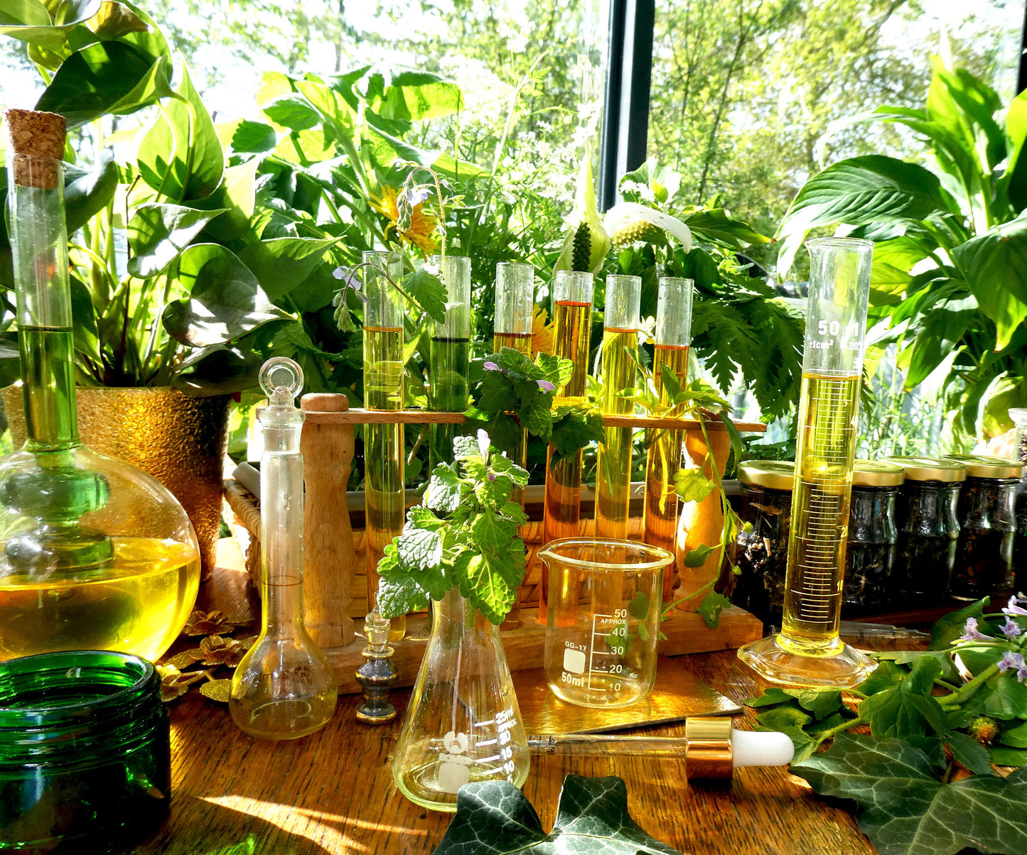 Laboratory setup with beakers, flasks, and plants on a wooden table.