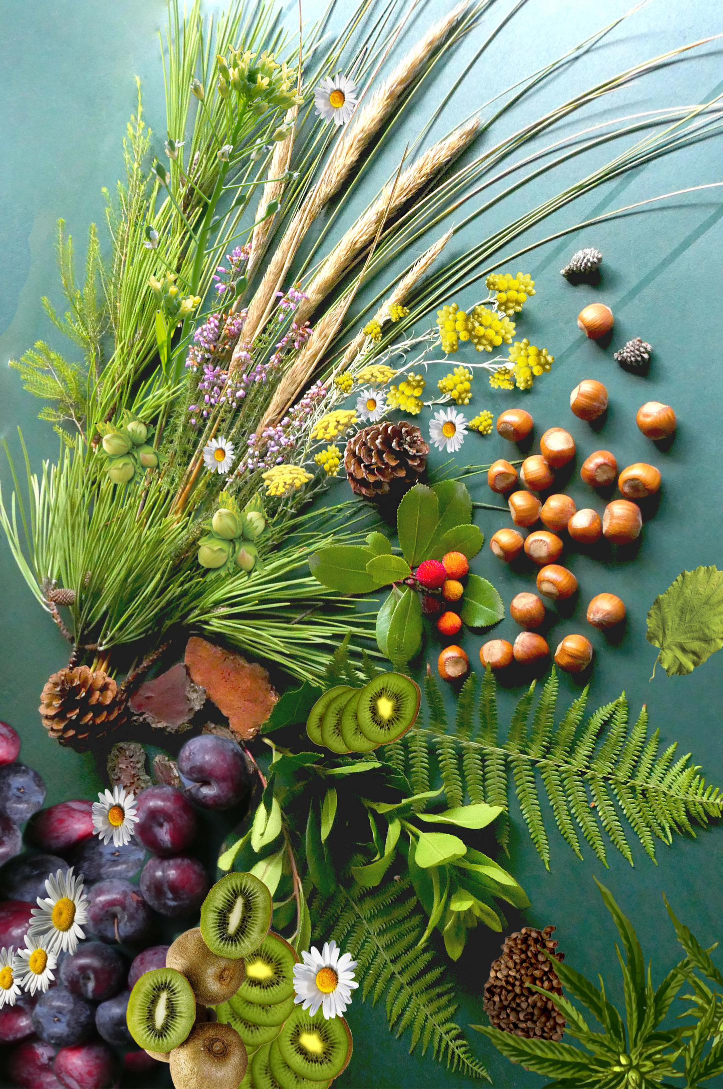 Arrangement of fruits, vegetables, and herbs on a green background